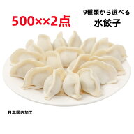 豊栄食品 2点セット 日本国内加工 500g×2点 冷凍 水餃子 10種類から選べる 送料無料 水ギョウザ　送料無…
