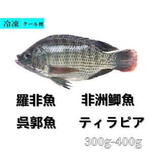 魚介類 ティラピアの人気商品 通販 価格比較 価格 Com