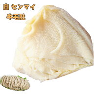 冷凍　生【 白牛センマイ 】 センマイ 白色 牛百葉 千枚 牛の胃袋 　約500g　牛肚 センマイ　冷凍商品 中…
