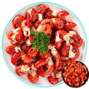 2_Zbg Ⓚ CP ij ڔ UKj ڔ 500g ڔ @VHV@UKj ڔ