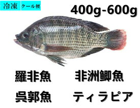 楽天市場 ティラピアの通販