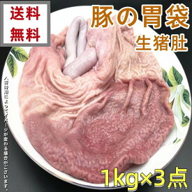 送料無料　1kg×3点=3000g 　冷凍 国産　生 豚の胃袋 1000g×3点 豚ガツ　猪胃 猪肚 中華食材 中華食品　豚肉　　生猪肚　胃袋 豚肚