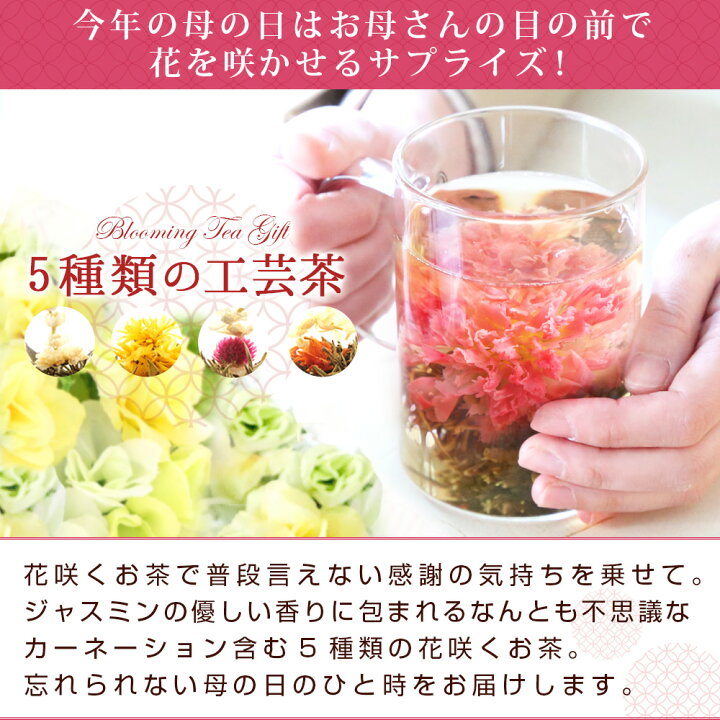楽天市場 13時迄の注文で即日出荷 遅れてごめんね 母の日 プレゼント カーネーション お茶 いやしセット 花咲く 工芸茶 花茶5種と耐熱ガラス マグカップ 実用的 フラワージャスミン茶 ギフト 中国茶専門店リムテー