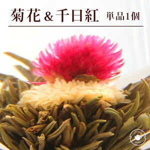 e[  炭H| Pi 1 eEg ԊJxM u[~OeB[ n[oE ̂悤ɂ t[ AWg q WX~ CX^f tHgWFjbN /