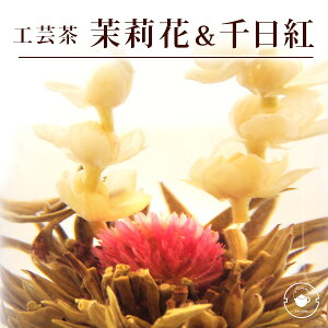 e[  炭H| 10 gE仉 ꌩ u[~OeB[ n[oE ̂悤ɂ t[ AWg q WX~ CX^f tHgWFjbN 