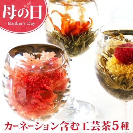 母の日 カーネーション 花 咲く 工芸茶5種 詰め合わせ セット ギフト用 ジャスミン茶ベース 誕生日プレゼント 女性 女友達 母 ブルーミングティー バースデー サプライズ インスタ映え メール便送料無料 キャッシュレス還元