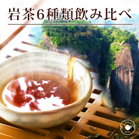 【岩茶飲み比べ6種】ギフト 烏龍茶 高級 武夷岩茶 がんちゃ 6種類飲み比べセット お試し 大紅袍 白鶏冠 鉄羅漢 水金亀 水仙 肉桂 個包装 使い切り ウーロン茶 お茶 中国茶 温活 ネコポス便送料無料