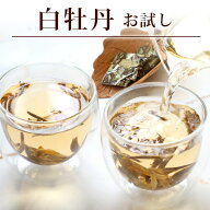 リムテー 【白牡丹50g(5g×10P)】白茶 ホワイトティー はくぼたん タブレットタイプ 茶葉 プレミアム ぱ…