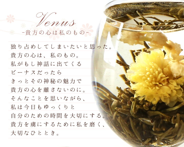 楽天市場 賞味期限4 10間近30 Off 花 咲く工芸茶 10個入 菊 茉莉花 東方美人 フラワー アレンジメント 女子 ジャスミン茶 中国茶専門店リムテー