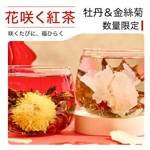 y2025~ԌzH|g4Zbg(2×e2)