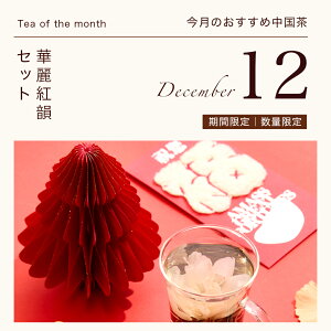 e[ ւ肨Zbg 12 gCZbg lߍ킹  v`Mtg