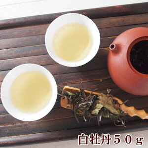  O50g zCgeB[ ͂ڂ 낿 V`