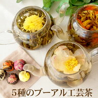 5種のプーアル工芸茶(菊・ジャスミン・ユリ・牡丹・バラ) お花が出てくるお茶 工芸茶 龍珠 5種類入り ネ…