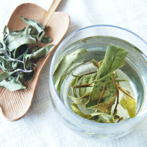 p } 20g 󏭒 䒃20 p zCgeB[ 炿 t [t