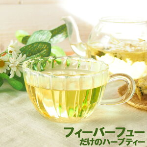 tB[o[t[̃n[ueB[30 eB[obO mJtFC icVMN Ĕe o