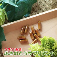 ふきのとうサプリメント90粒 2499円~ ペタシン サプリメント 蕗の薹 フキノトウ 粉末 パウダー ふきのと…