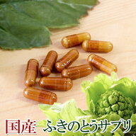 国産ふきのとうサプリメント90粒 日本産原料 2999円~ ペタシン サプリメント 蕗の薹 フキノトウ 粉末 ふ…