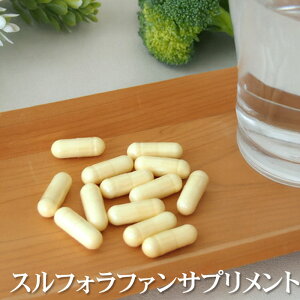 XtHt@Tvg30(1) 1XtHt@40mgz ubR[ Tvg 11 Nێ ؕs GCWOPA N ̒Ǘ ] ̊