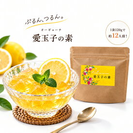 愛玉子(オーギョーチー)パウダー120g/ 1kg 台湾スイーツ 手作り 簡単 台湾直輸入 ゼリーの素 オーギョーチ アイギョクシ