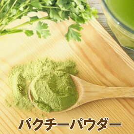 パクチーパウダー50g コリアンダーリーフ 粉末 香菜 エスニック タイ料理 ベトナム料理 中華料理 スパイス ハーブ 調味料
