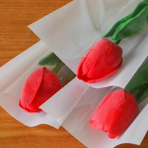 \[vt[ 1փu[P1{ 139~~ [Y Ђ܂ J[l[V ~ju[P 1{ V{t[    Ǝ  w ct ۈ牀 wZ wZ Ӊ Cxg 