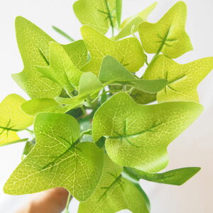 A[eBtBVO[  ACr[ 1 t n[u tFCNO[ CeA AWg t