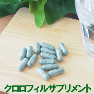 NtBTvg45 1200mg̃NtB jIC΍ LTv L L  G`Pbg NtBigE tΑf K u₩ A