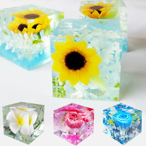 ひまわり 花束 プリザーブドフラワーの人気商品 通販 価格比較 価格 Com