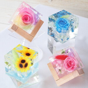 NX^n[oE t XC[ctI 2999~~ /a  j vU[uht[ CeA v[g [Y   Ђ܂ C{[[Y o ft@