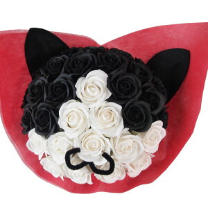 \[vt[ ɂ񂱉ԑ a LO j n`L OєL ~P ˂ L̉ԑ lR neko kR ^LV[h mN[@mg[ LObY jR ԑɂ񂱔LD