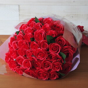 փ[Ỷԑ20{ \[vt[ԑ  aMtg o[Xf[ [Y o  u[P ԑ a \ v|[Y   LO Ǝ w v[g tt {