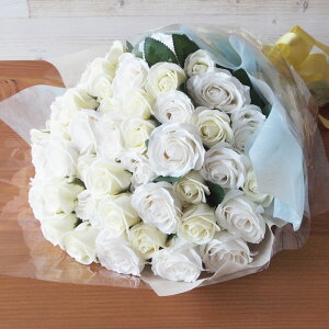 փ[Ỷԑ20{ \[vt[ԑ  aMtg o[Xf[ [Y o  u[P ԑ a \ v|[Y   LO Ǝ w v[g tt {