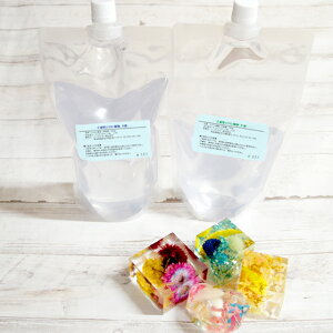 2tVRt1kg(500g×2) DIY NX^ \tgW ANZT[ ԕW{ ł܂n[oE nhCh H W{ sAX L[z_[ lbNX |pi zr[pi R