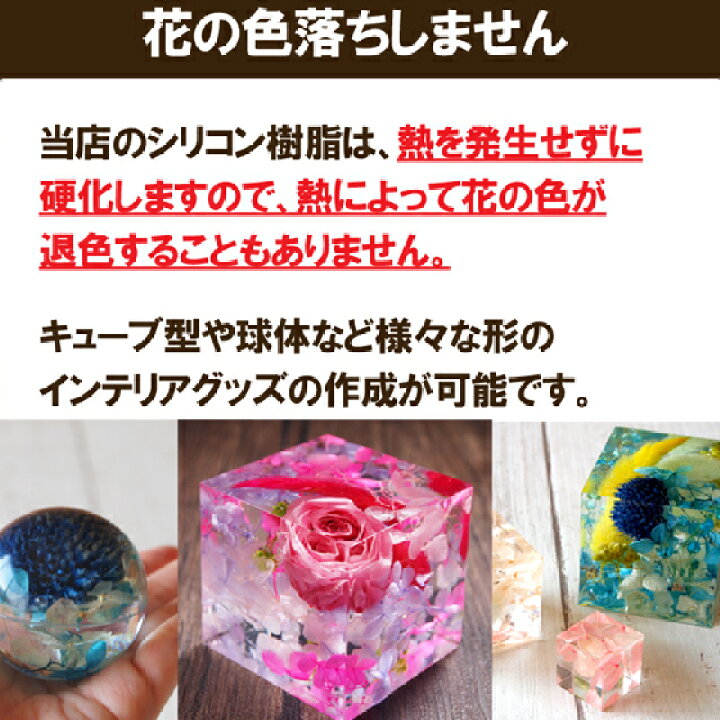楽天市場 2液性シリコン樹脂液1kg 500g 2 Diy クリスタル ソフトレジン アクセサリー 花標本 固まるハーバリウム ハンドメイド 工作 標本 ピアス キーホルダー ネックレス 手芸用品 ホビー用品 彩香 お茶 ハーブ 花材 ギフト