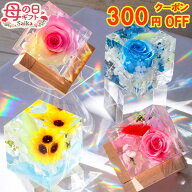 ＼300円OFFクーポン／母の日 ギフト クリスタルハーバリウム 台付き スイーツセット選択可 花 プリザーブ…