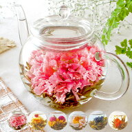 カーネーション茶 ティーポット付き or 工芸茶単品 フラワーティー 誕生日 母の日 父の日 お礼 お祝い プ…