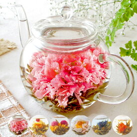 カーネーション茶 ティーポット付き or 工芸茶単品 フラワーティー 誕生日 母の日 父の日 お礼 お祝い プレゼント 実用的 おしゃれ 中国茶 花茶 ガラスポット付き 送料無料