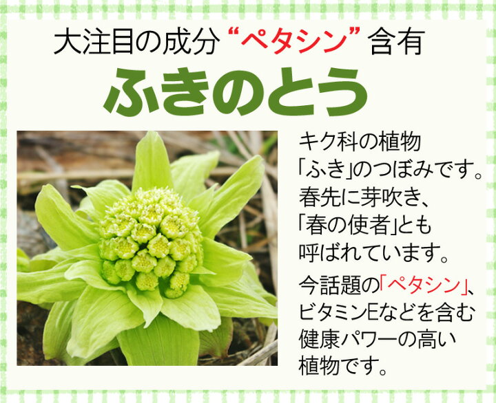 楽天市場 ふきのとうパウダー50g ペタシン 蕗の薹 フキノトウ 粉末 パウダー ふきのとうエキス バターバー Butter Bur 彩香 お茶 ハーブ 花材 ギフト