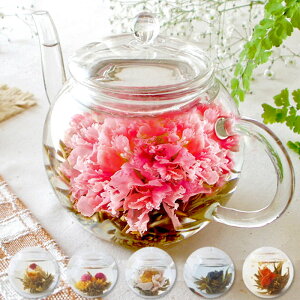 H| Ԃ̂ڂ݂ƃeB[|bg J[l[V 1400~~ / a j    ԂoĂ邨 pI ԈȊO ݕ   Ԓ t[eB[ KXeB[|b