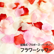 フラワーシャワー フラワーペタル 選べる素材 造花 ドライフラワー 花びら ローズペタル バラの花 薔薇の…
