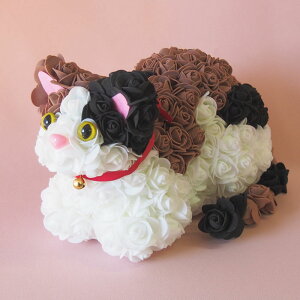 t[hbO t[Lbg 5299~~ NAP[X 1/ a  j  gCv[h ViEU[ Č _bNX t`uhbO OєL n` 킢 ʂ 