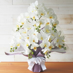 Ӓ 7{ 3{ sN  A G}H A[eBtBVt[ 1 bZ[WJ[hΉ A[eBtBVt[  j JXj JƏj Vzj 