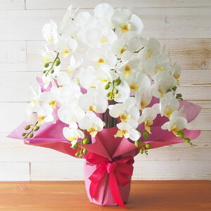 Ӓ 7{ 3{ sN  A G}H A[eBtBVt[ 1 bZ[WJ[hΉ A[eBtBVt[  j JXj JƏj Vzj 