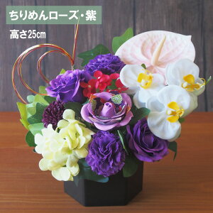 \[vt[ ͂ȂAWg  3,999~~/ a j J[l[V o  Ђ܂ S Ӓ ߂ [Y CG[ sN 䉖 Ԋt j JX