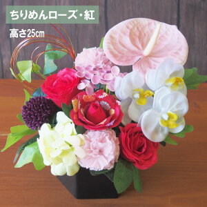 hV̓ \[vt[ ͂ȂAWg  3,999~~/ a j J[l[V o  Ђ܂ S Ӓ ߂ [Y CG[ sN 䉖 Ԋt j