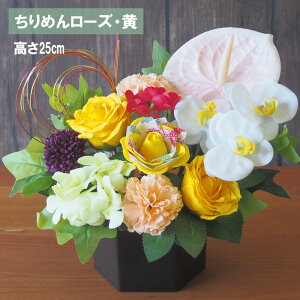 \[vt[ ͂ȂAWg  3,999~~/ a j J[l[V o  Ђ܂ S Ӓ ߂ [Y CG[ sN 䉖 Ԋt j JX