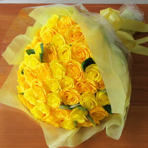 փ[Ỷԑ20{ \[vt[ԑ  aMtg o[Xf[ [Y o  u[P ԑ a \ v|[Y   LO Ǝ w v[g tt {