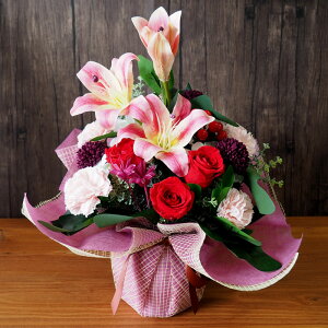 vU[uht[ AWg Iׂ3F u[ bh sN CG[ i` o  AXE Mtg a v[g JXj  蕨