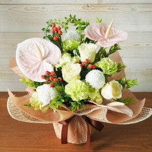 vU[uht[ AWg Iׂ3F u[ bh sN CG[ i` o  AXE Mtg a v[g JXj  蕨