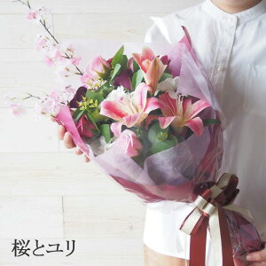 \[vt[ ԑ 傫TCY  5399~` a LO ސE \  j JXj JƏj  t[\[v  Mtg [Y o u[P S  Ӓ  Ђ